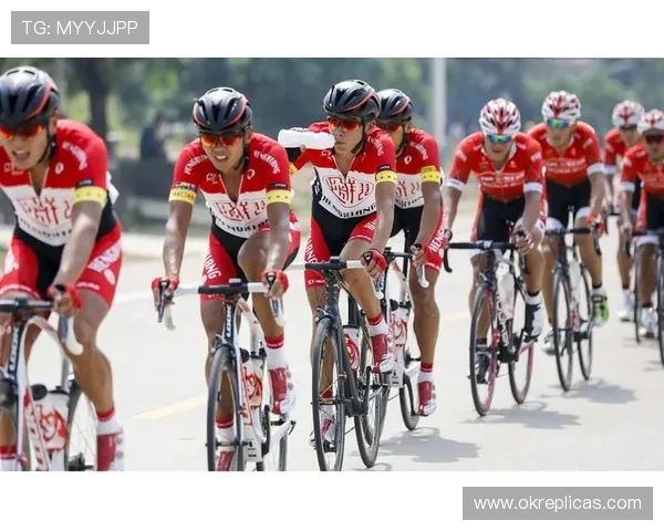 博鱼体育官方合作伙伴介绍，合作流程与优势分析，助力体育产业链的共同发展与创新